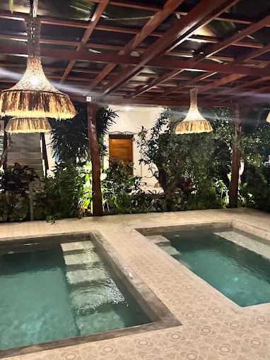 Plunge pools Hesa Wellness Spa Ubud group spa day